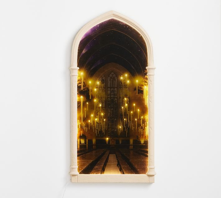 Harry Potter(TM) Lit Mirror Door | Pottery Barn (US)
