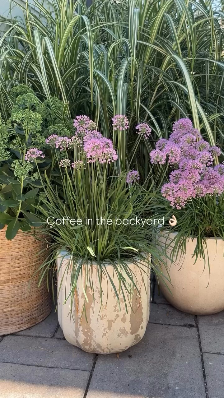 A mix of old and new planters, varying shapes and sizes in your  scoured or front porch can make your outdoor space feel collected 🩶

Backyard, summer, outdoor decor, backyard inspo, GIRLONTHEHUDSON, outdoor decor, backyard inspo, planters, planting, summer inspo, backyard design, outdoor

#LTKHome #LTKSeasonal #LTKdayinmylife