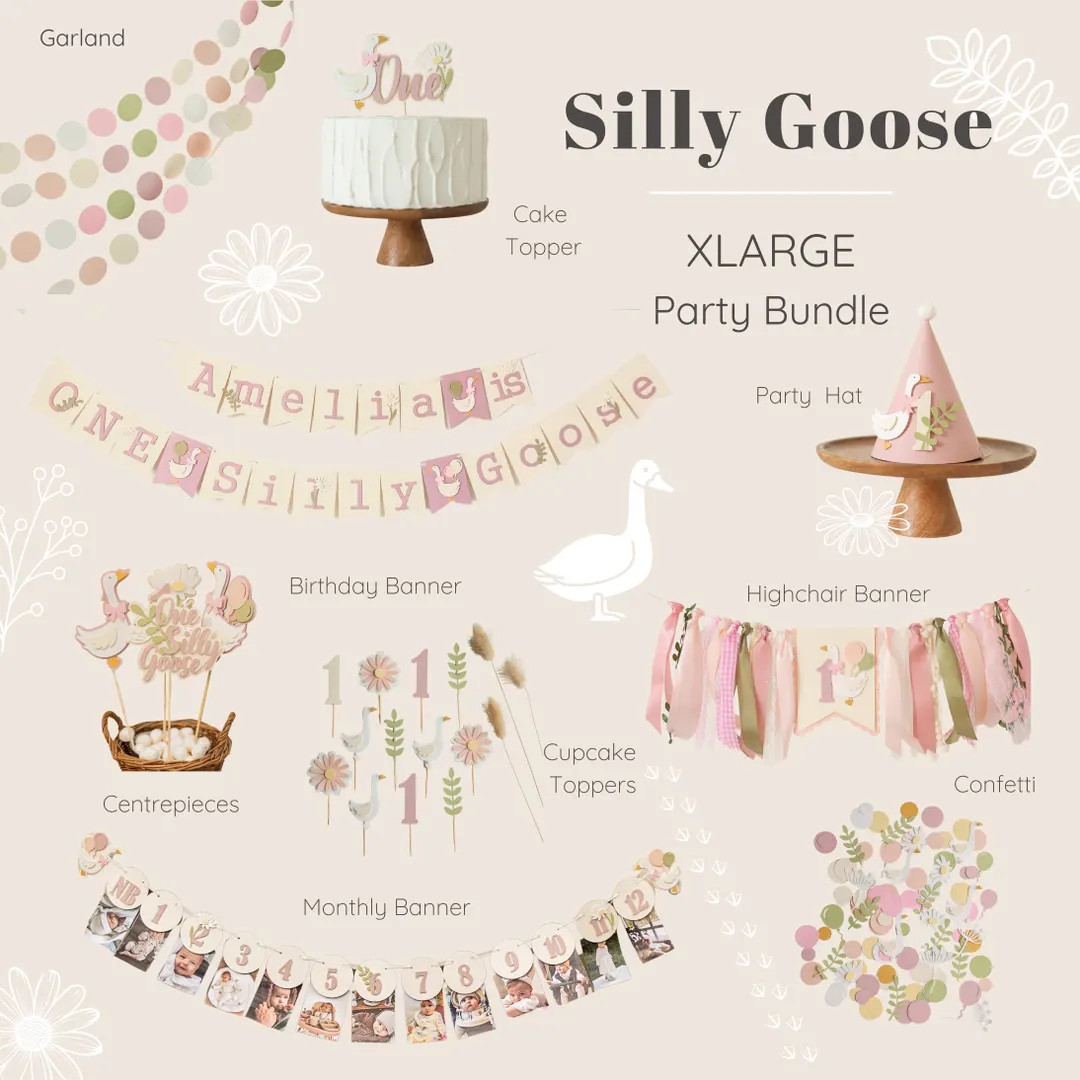 One Silly Goose 1st Birthday Bundle, Vintage Goose Party Decorations - Etsy | Etsy (US)