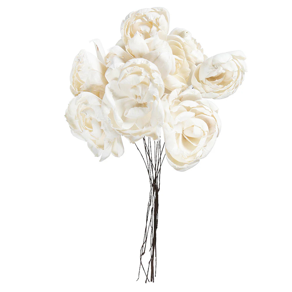 Peony Sola Flower Stem Pack | Modern Locke