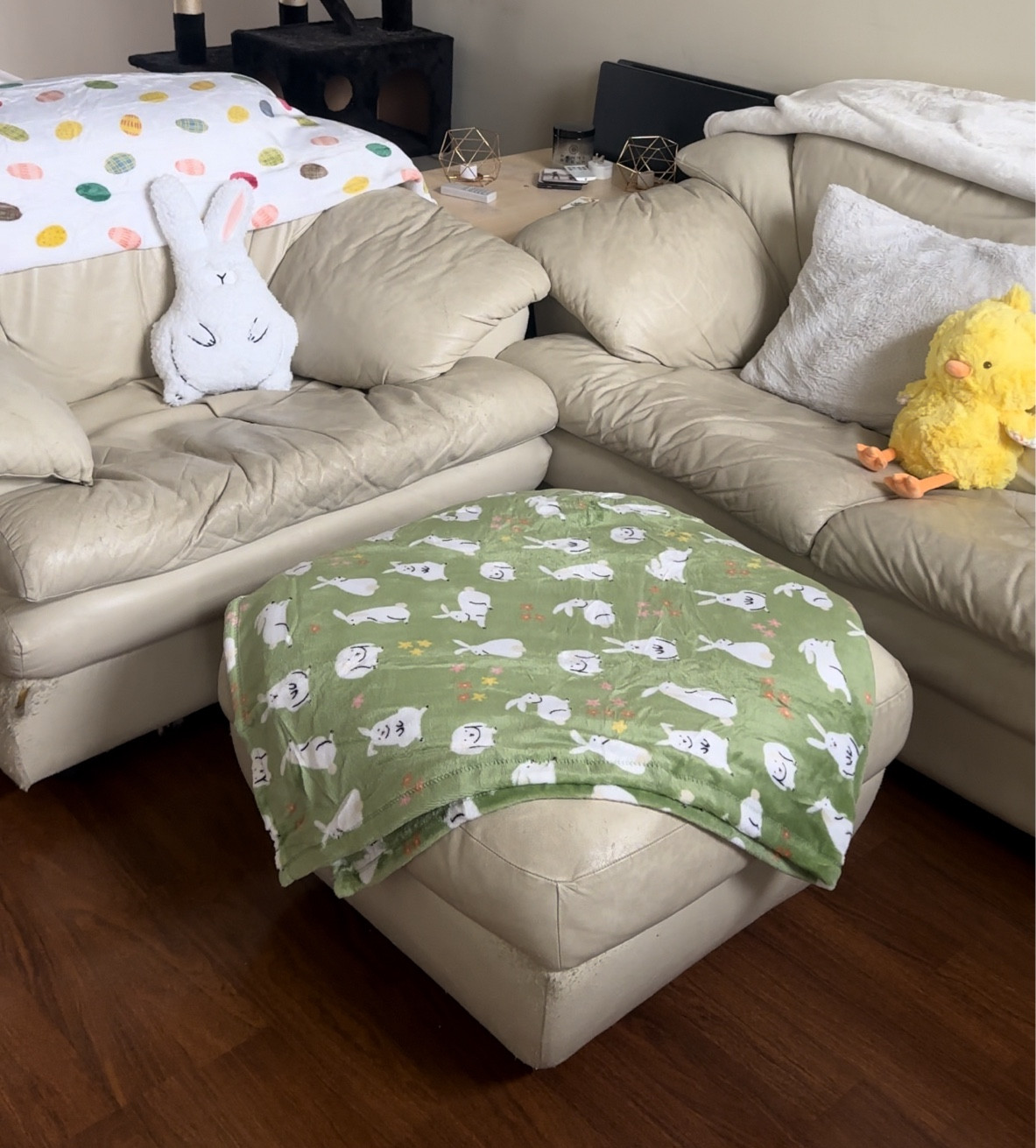 Spring decor is here! 🍀🌸🐣 everything was $10

#LTKhome #LTKfindsunder50 #LTKSeasonal