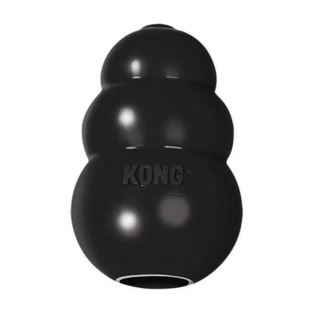 KONG Extreme Dog Toy | Chewy.com