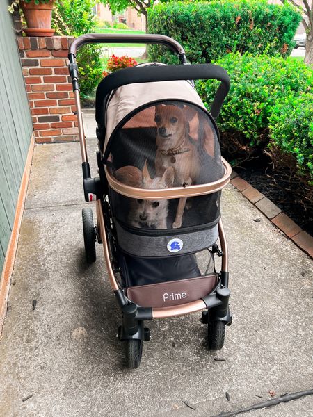 HPZ PetRover Prime 3 in 1 pet stroller - the carriage doubles as a carrier and car seat - dog stroller - Amazon Pets - Amazon Finds 

#LTKSeasonal #LTKhome #LTKfamily