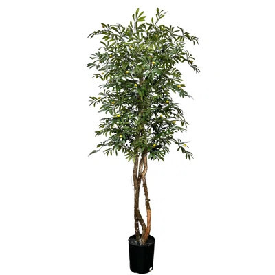 Hand-Made Cypress & Alabaster 6.5'' Deluxe Artificial Olive Tree | Wayfair North America