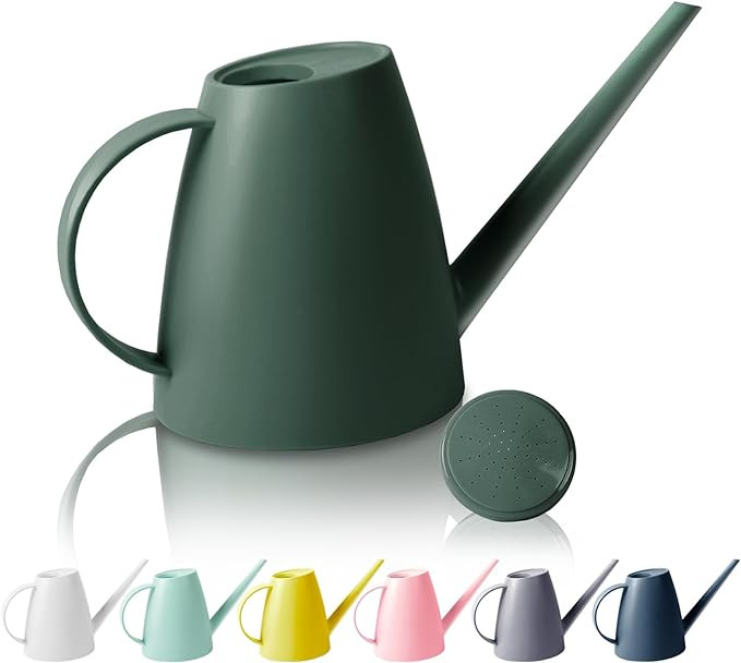 Watering Can for Indoor Outdoor Plants, Modern Small Watering Cans with Removable Nozzle, Long Sp... | Amazon (US)