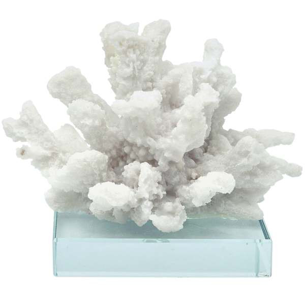 White Coral Figurine on Glass Base, 5" | At Home