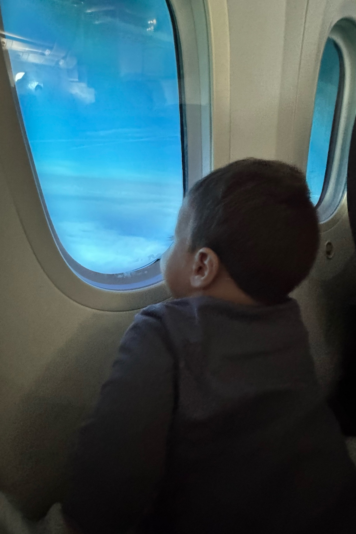 Toys that we ordered our almost 2 year old to keep him busy on our flight! All of these were a HIT!! 

#LTKGiftGuide #LTKTravel #LTKBaby