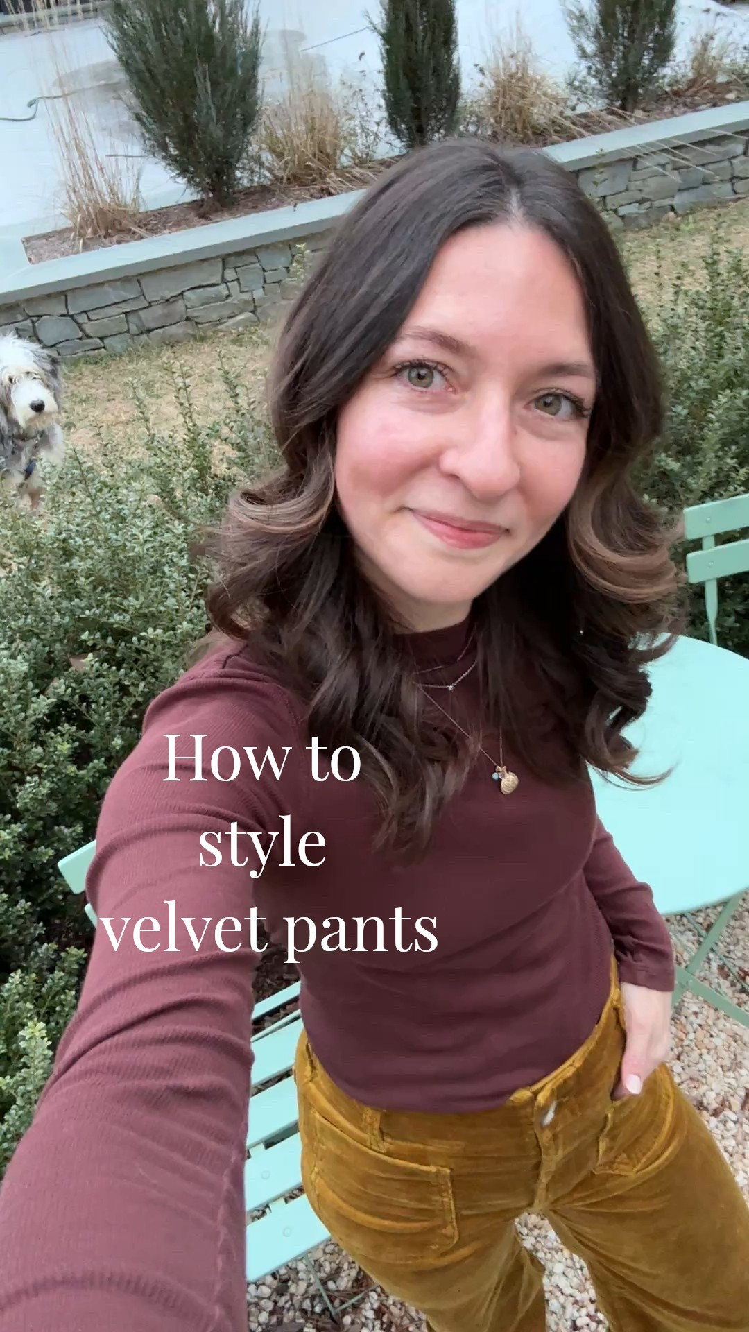 I got these gold velvet pants right before the holidays & I wore them for the first time for New Year’s Eve! I love them so much more than I thought I would- they looked pretty with these silver sneakers & chocolate brown long sleeve top but I want to wear them with a bolder color next like bright pink or even chartreuse 🩷✨

#LTKFindsUnder100 #LTKSeasonal #LTKWorkwear