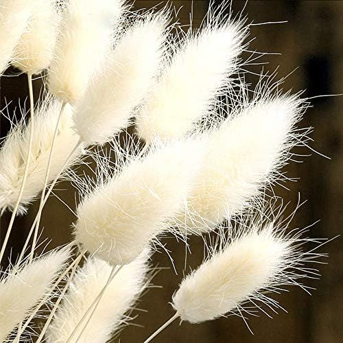 Color Life 110-120 Pcs Dried Natural Flowers Decoration, Dried Rabbit Tail Grass Flowers,Dried Pa... | Amazon (US)