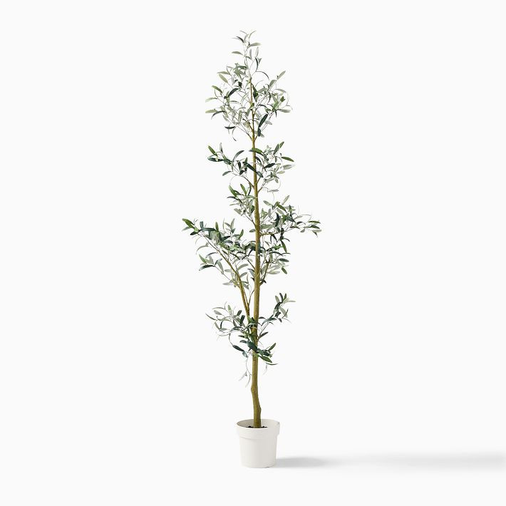 Faux Potted Sparse Olive Tree | West Elm (US)