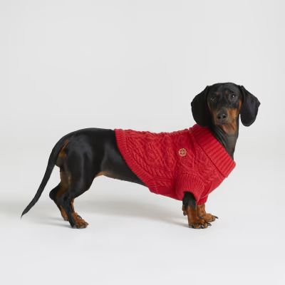 Red RI Dog cable knit jumper | River Island (UK & IE)