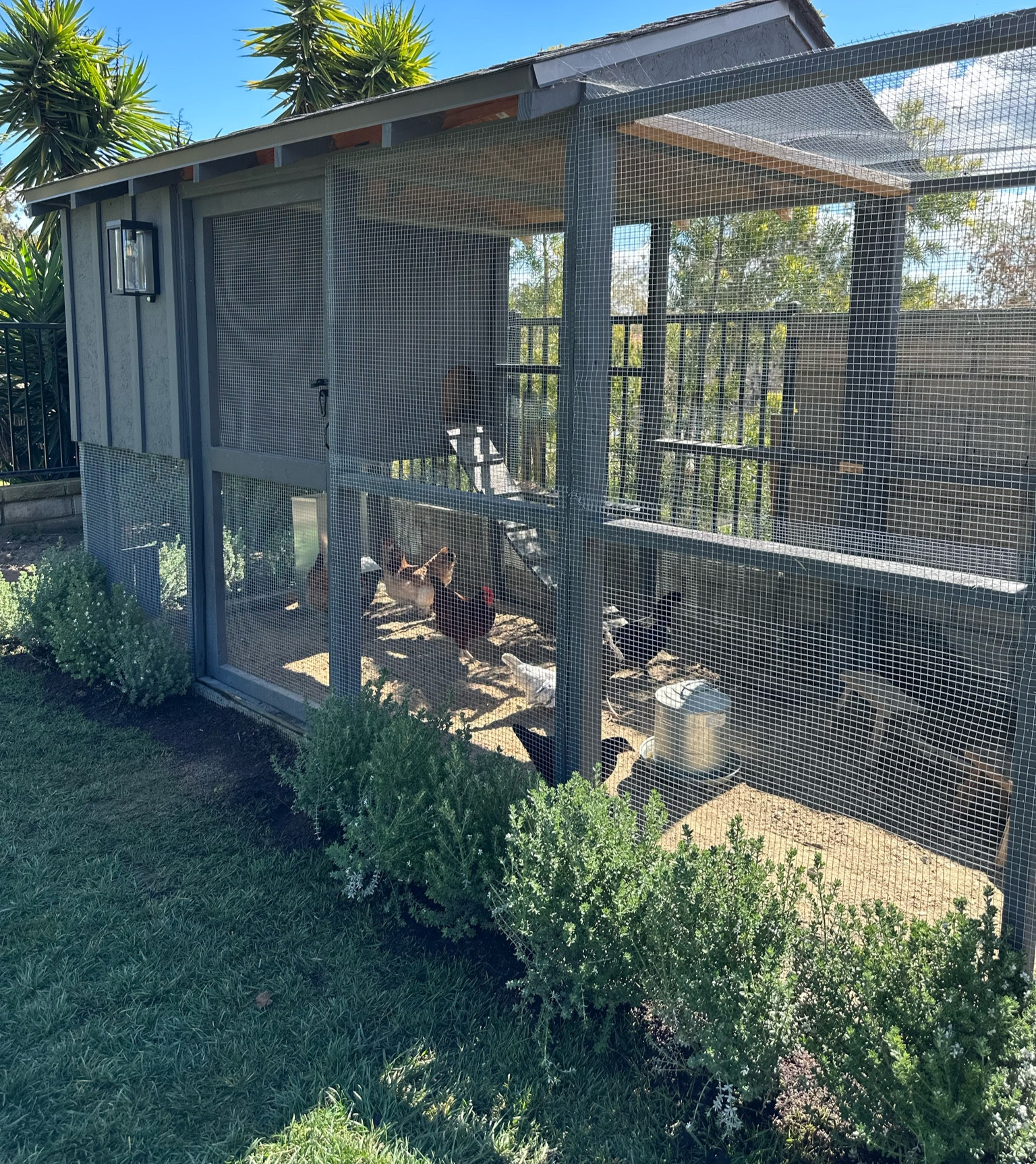 Chicken Coop Plans! 

#LTKhome #LTKfamily