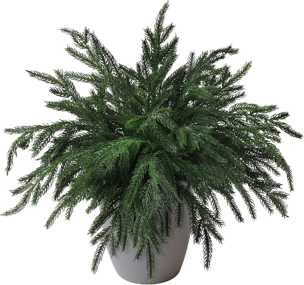 10PCS Christmas Norfolk Pine Stems, Real Touch 19 Inch Artificial Norfolk Pine Branches, Fake Gre... | Amazon (US)