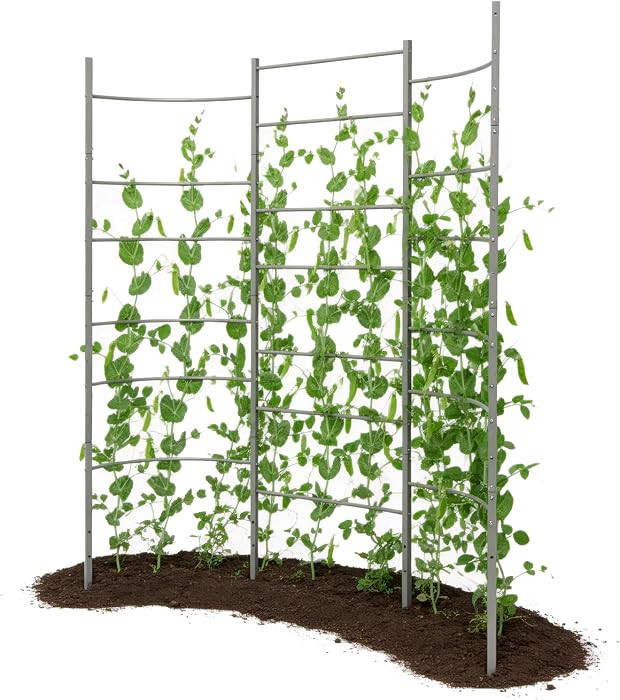 Garden Panel Trellis for Raised Garden Beds, Heavy-Duty Metal Panel with Crossbars, Bed-Mount or ... | Amazon (US)