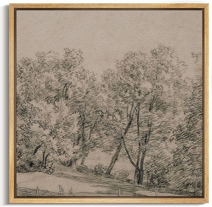 MUDECOR Framed Canvas Print Wall Art Vintage Rustic Forest Sketch - Vintage Drawing Illustrations... | Amazon (US)