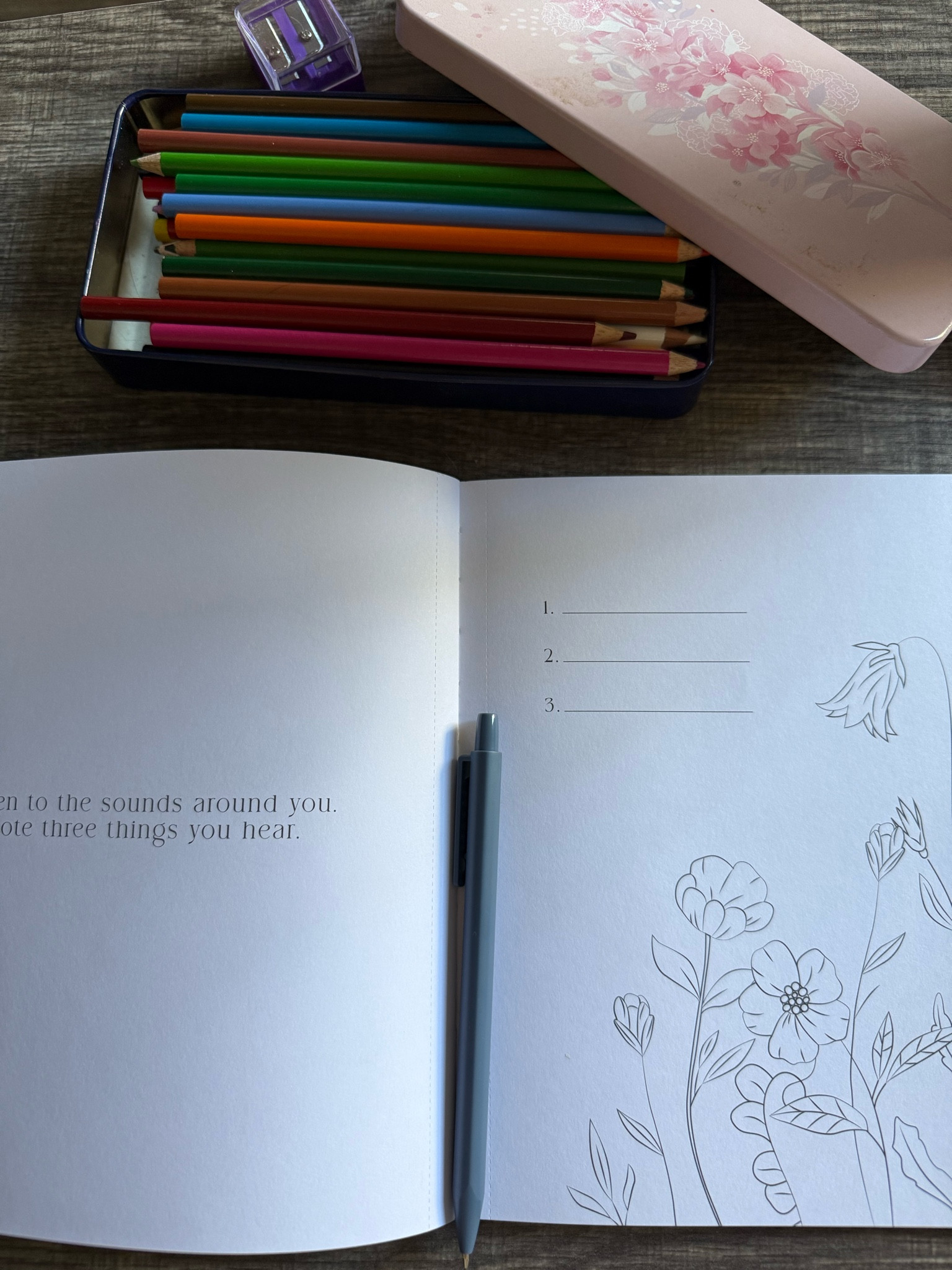 Daily dose of gratitude with my new journal/coloring book from Amazon. 

#LTKGiftGuide #LTKFindsUnder50 #LTKSaleAlert