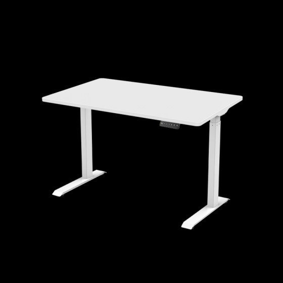 Height Adjustable Standing Desk E9 | FlexiSpot