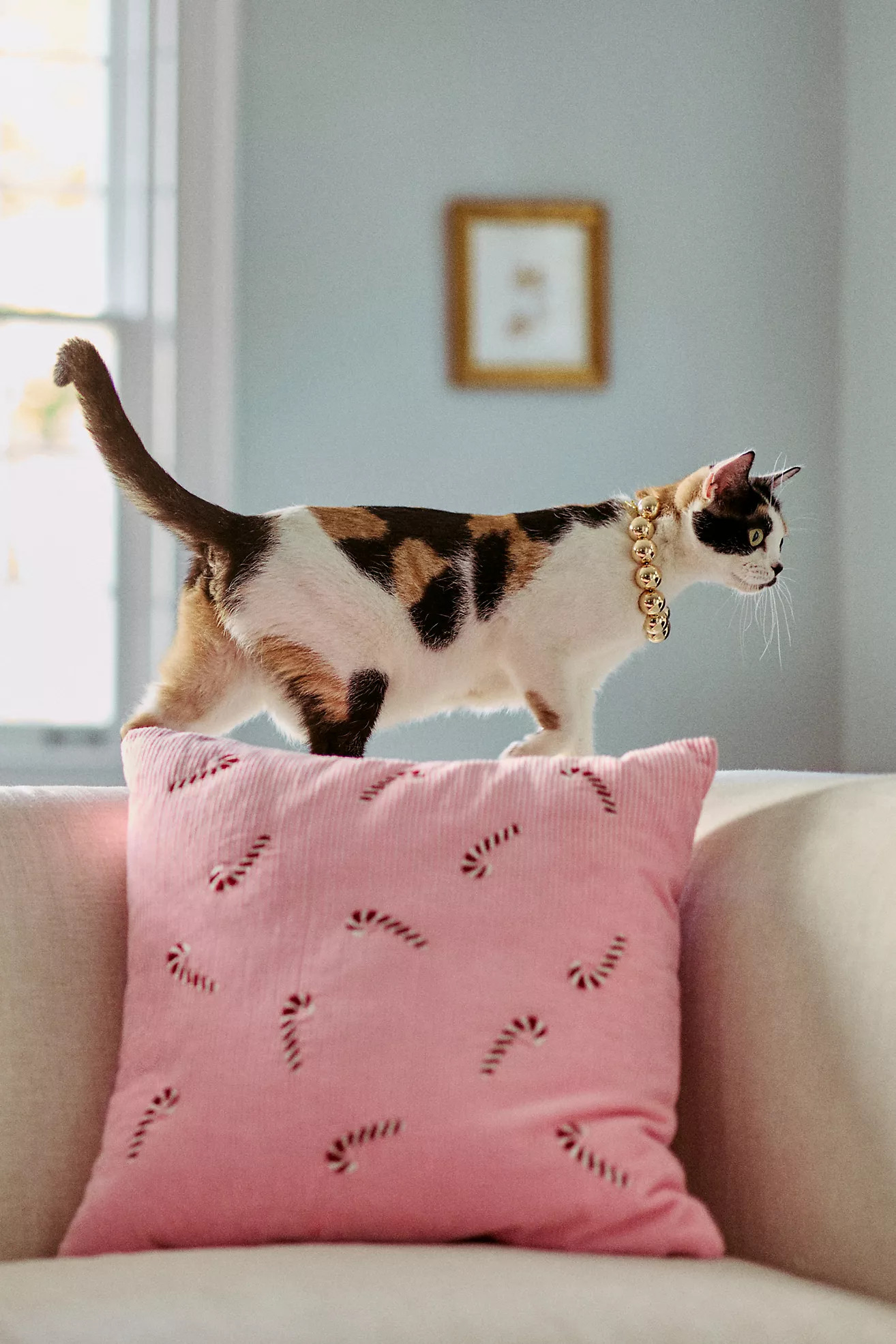 Velvet Corduroy Embroidered Icon Pillow | Anthropologie (US)