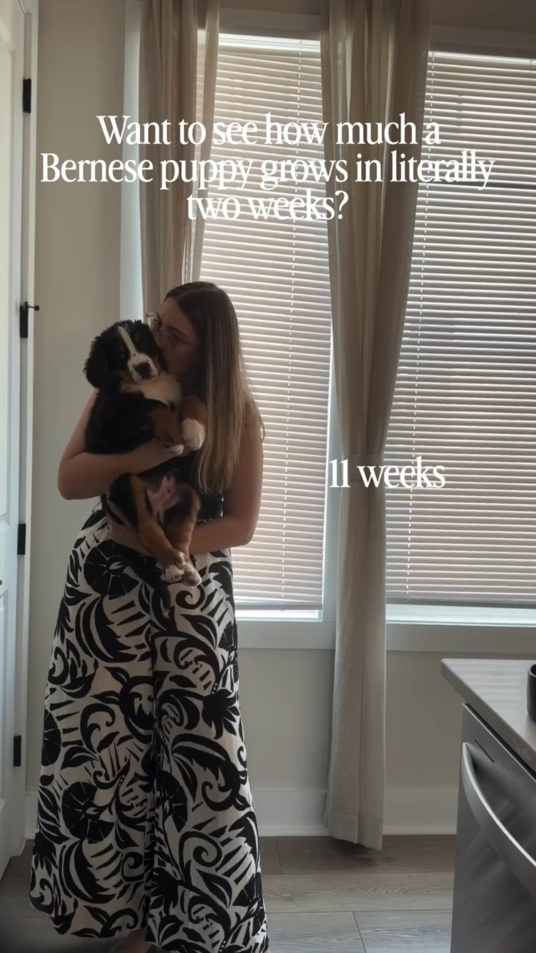 11 → 12 → 13 weeks and I’m starting to think Ash isn’t growing… he’s upgrading. 🐻✨

Each week feels like a new version of the same puppy, just slightly bigger, slightly heavier, and significantly more convinced he owns the place. The paws alone are entering their own time zone.

I keep telling myself “he’s still a baby” while he’s out here auditioning for full-grown bear status.

Follow along @styledwithpaws for more weekly Ash updates as he grows into his paws 🐾

bernese mountain dog puppy | puppy growth spurt | bernese puppy | growing puppy stages | dog mom life | fluffy puppy | big puppy energy | puppy timeline
