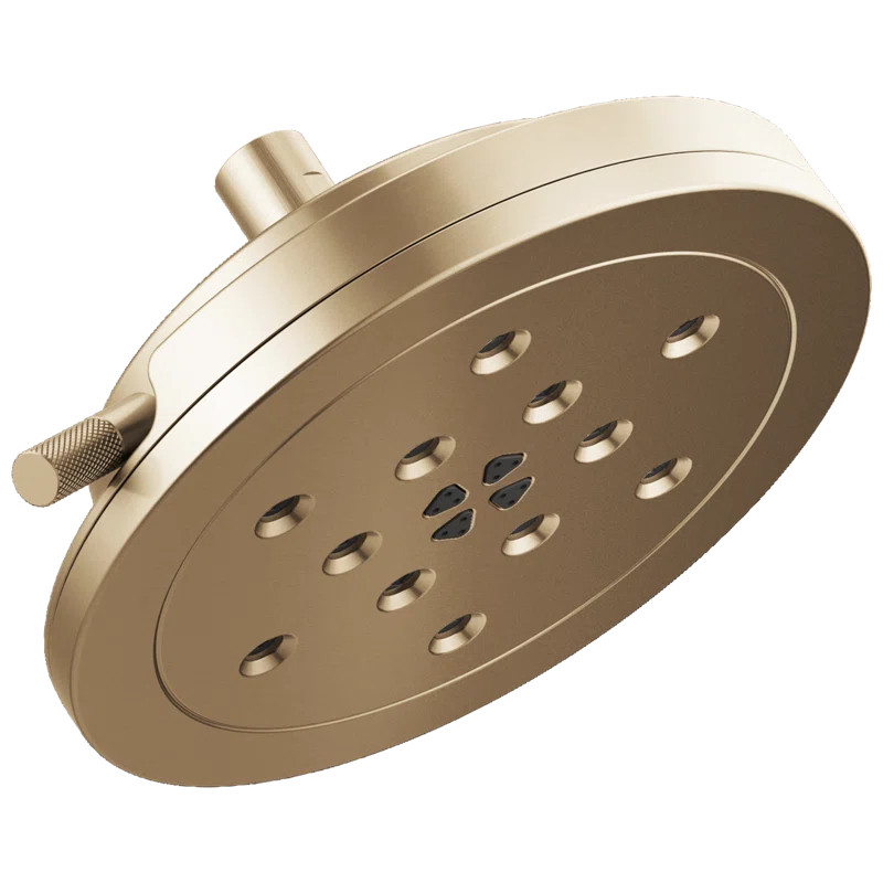 Luxe Gold Litze® 4-Function Raincan Showerhead with H2OKinetic® Technology (Part number: 87435-... | Wayfair North America