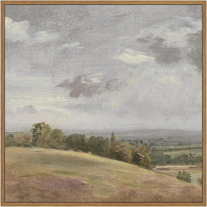 InSimSea Square Framed Canvas Wall Art, Nature Scenery Decor Farmhouse Sky Clouds Valley Grasslan... | Amazon (US)