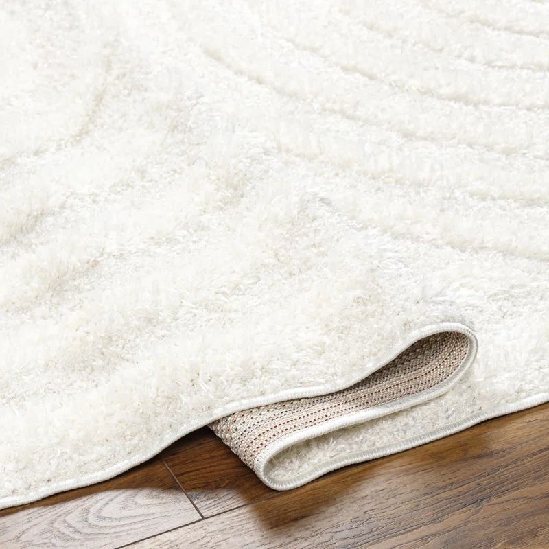 Bartletto Beige Shag Area Rug | Wayfair North America