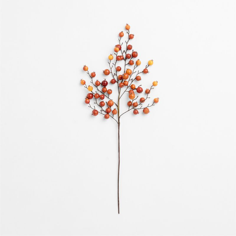 Faux Orange Crab Apple Stem 32 | Crate & Barrel