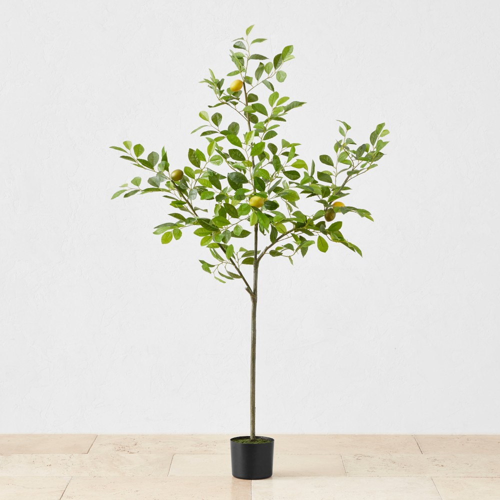 Faux Lemon Tree, 3'-5' | Williams-Sonoma