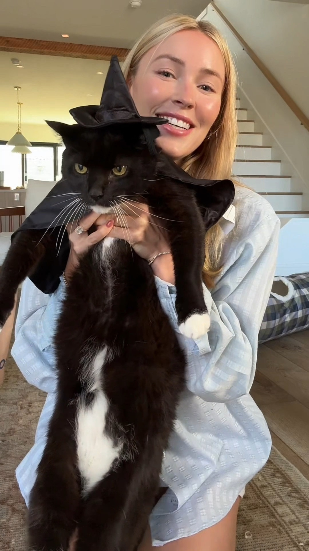 Dressing up the cats for Halloween👻🎃#petcopartner #ad