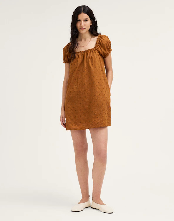 The Chateau Mini Dress | Madewell
