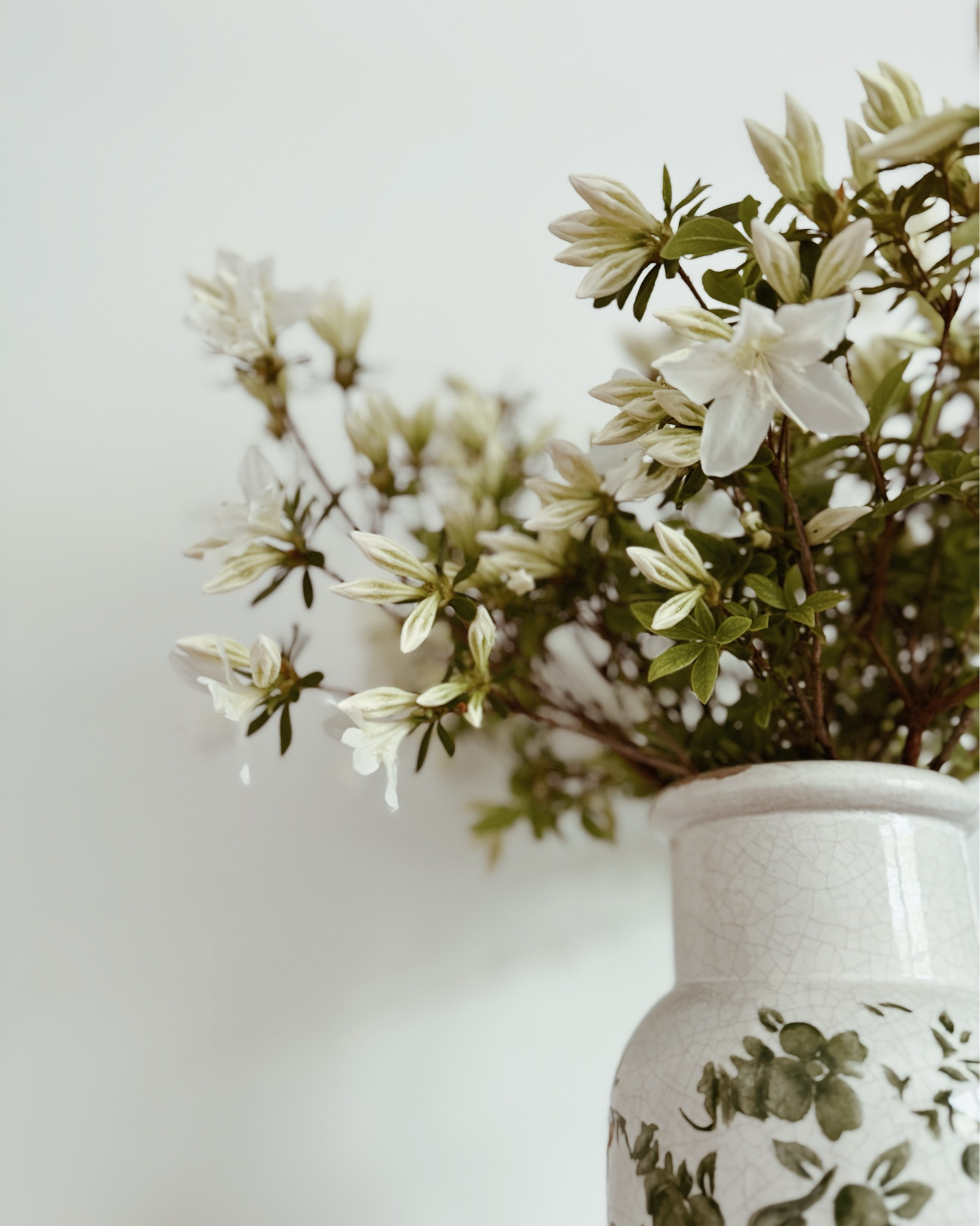 This is my first time cutting my Azalea bush after a flush of blooms. I am so in love with how wild this arrangement is, especially in this vase from #Terrain. I have had it for well over 3 years; incredibly well made and pretty. 

#garden #gardening #flowers #spring #vase

#LTKSeasonal #LTKFindsUnder100 #LTKHome