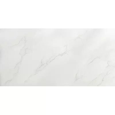 Paladino 12" x 24" Porcelain Marble Look Tile Emser Tile | Wayfair North America