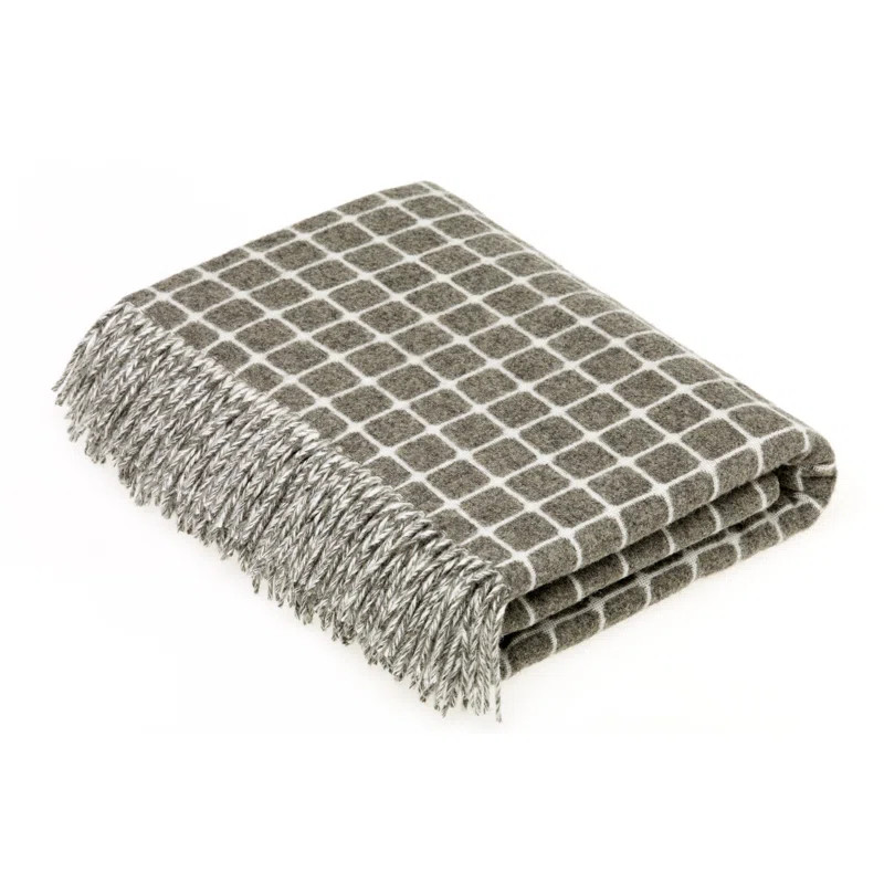 Check Woven Throw Blanket | Wayfair North America