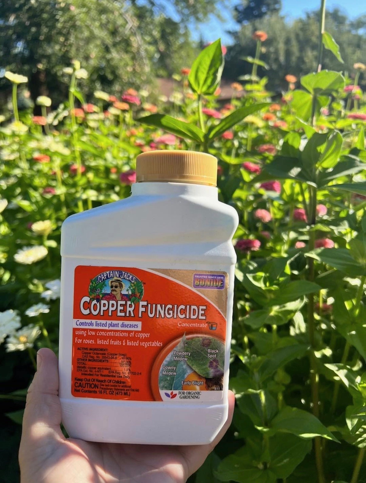 I’d much rather catch a problem early than try to save a struggling plant later… That’s why I always keep this on hand, just in case I notice the first signs of disease in the garden!

#LTKSeasonal #LTKHome #LTKSaleAlert