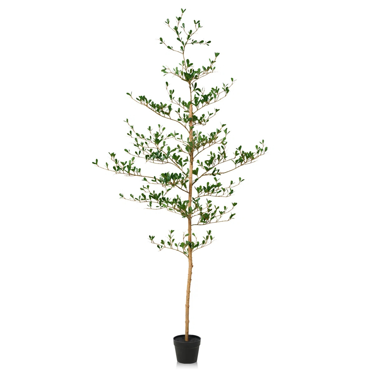 Adcock 6ft Artificial Tree Black Olive, UV Resistant Faux Plants - Real Wood Trunk, Floor Plant O... | Wayfair North America