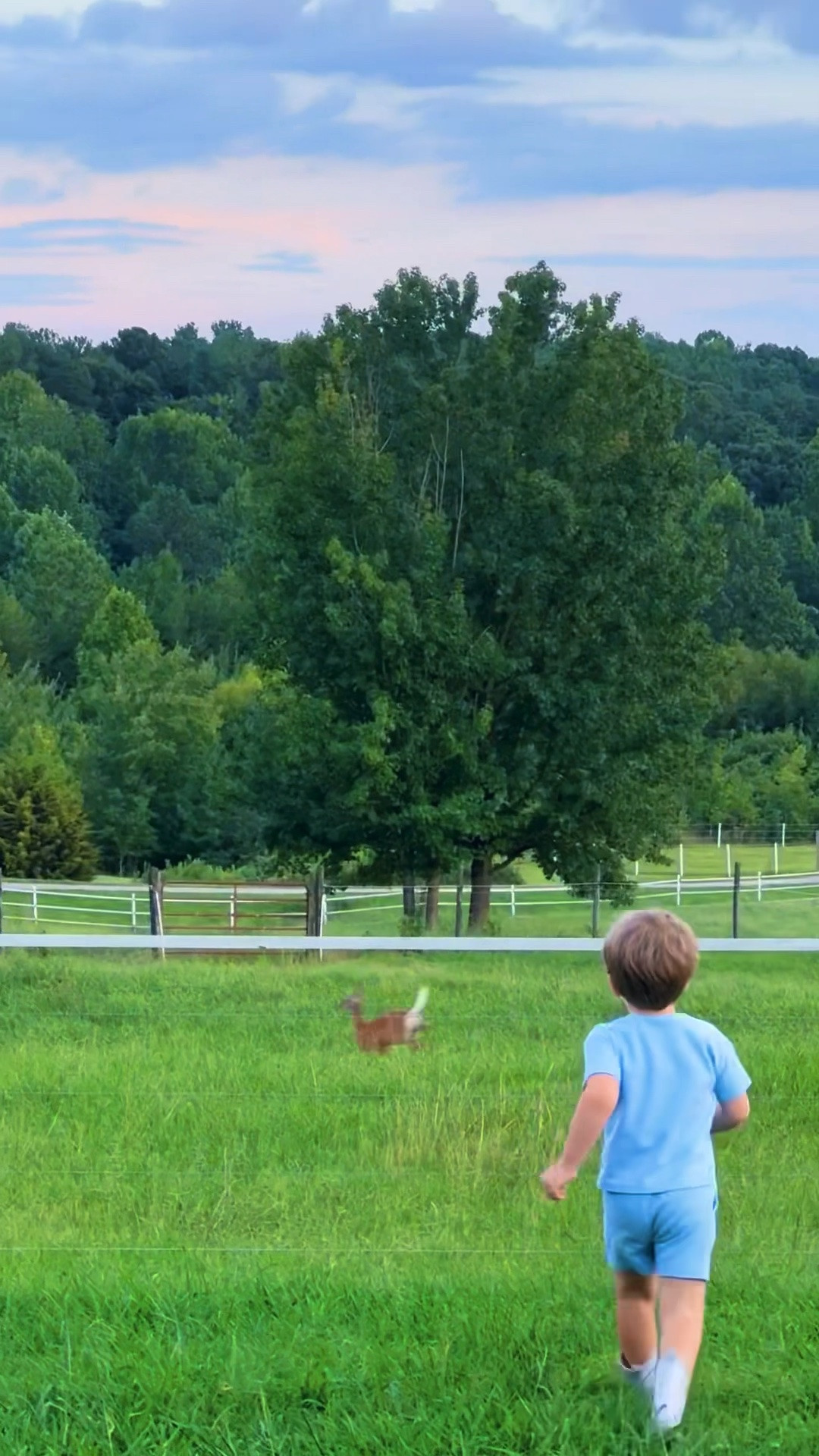 And as we were finishing up dinner, my boys ran to the window 🪟 to see a deer 🦌 right in our front pasture 😍 - so ofcourse they ran straight outside 🌳 to go see her!!! 🙌🏽 And spend the rest of the evening outside playing and exploring by the barn 🐴 until the sun went down!! 🌅 Sound on 🔔 for the dreamiest farm life sounds!! 🫶🏽🌾