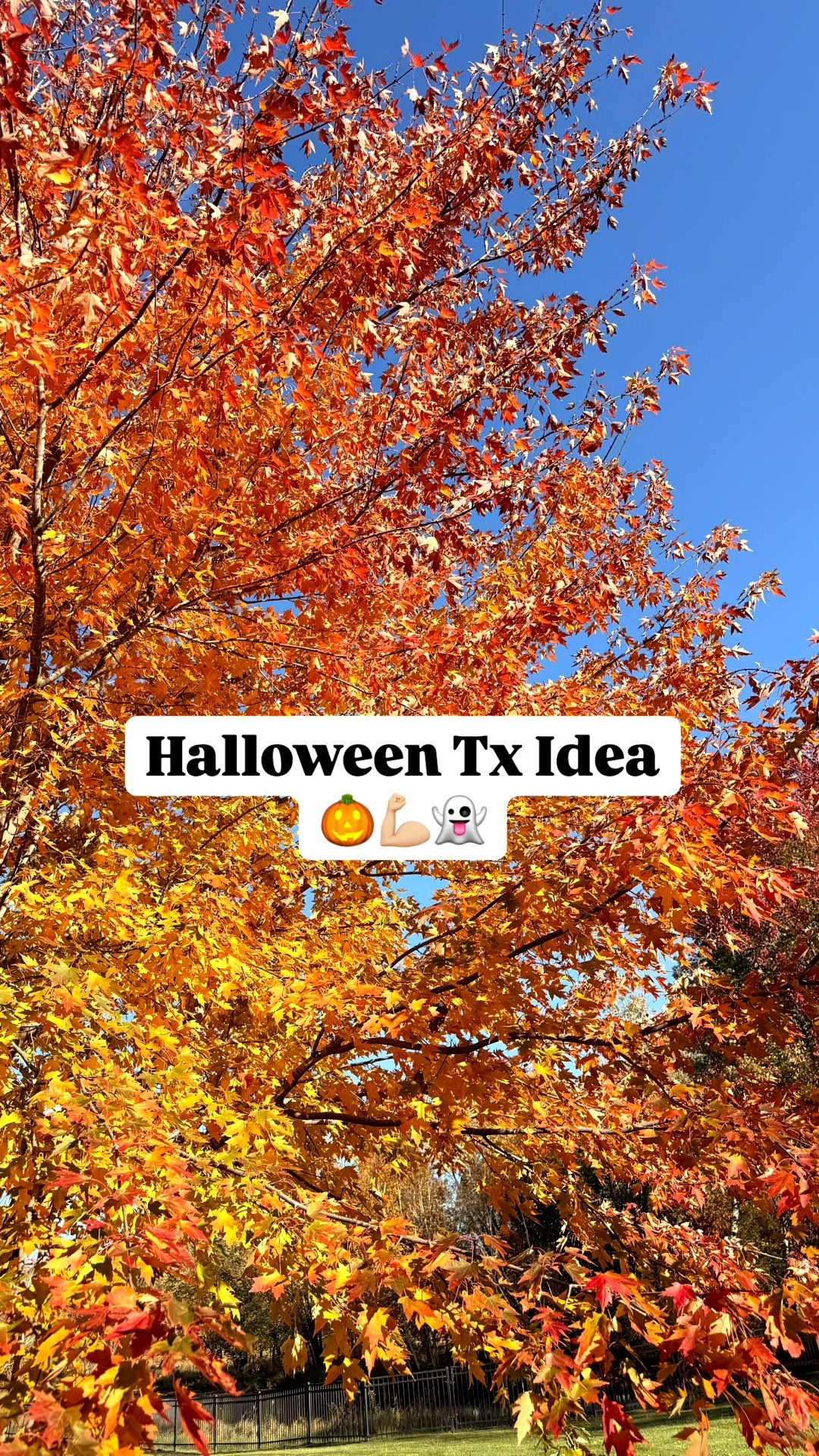 Halloween treatment idea

#LTKSeasonal #LTKU #LTKHalloween