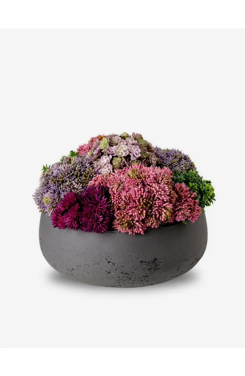 Georgina Sedum Charcoal | Nordstrom