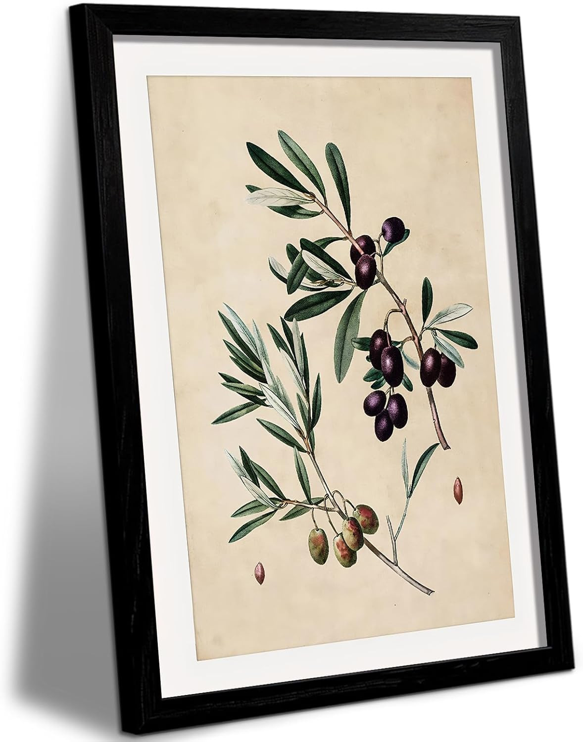 KHYEY Vintage Olive Branch Botanical Wall Art 12x16 Inch | Amazon (US)