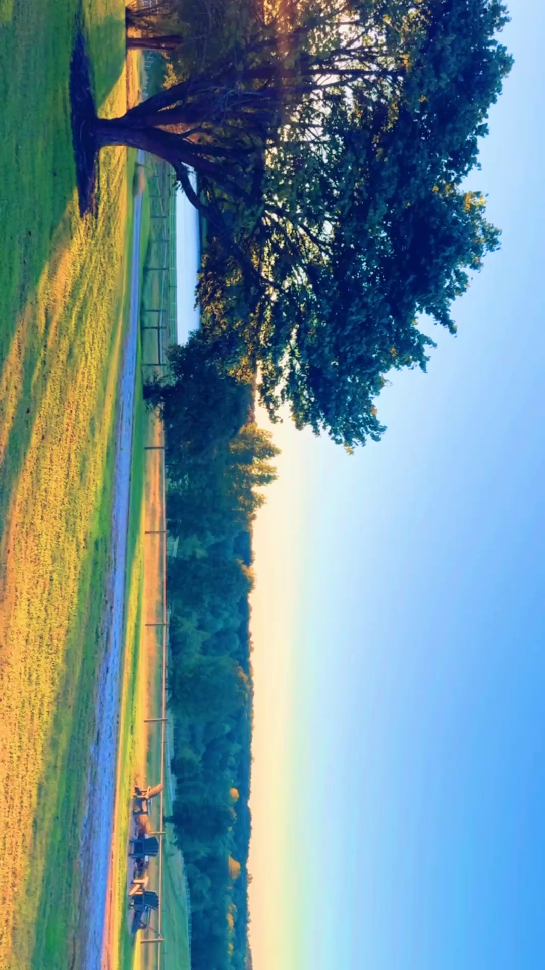 Every morning, after my little workout, I love to walk out and watch the Lord bring the sun ☀️ up 🌅 over the farm 🌾… and it fills me with such joy!! 🤩 He is a good, good Father, friends, and loves you so much!! 💓