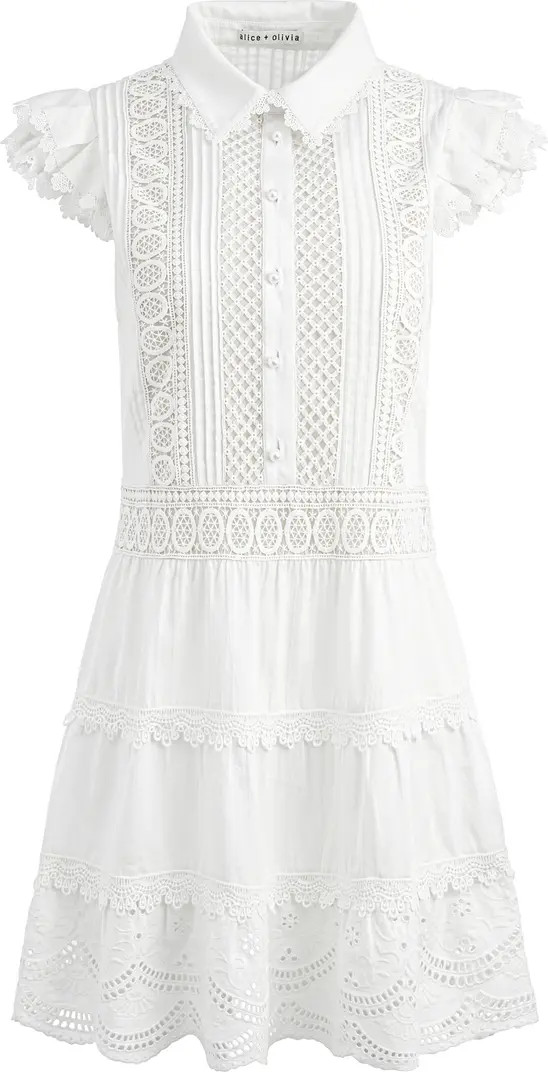 Meeko Embroidered Eyelet & Lace Trim Cotton Minidress | Nordstrom