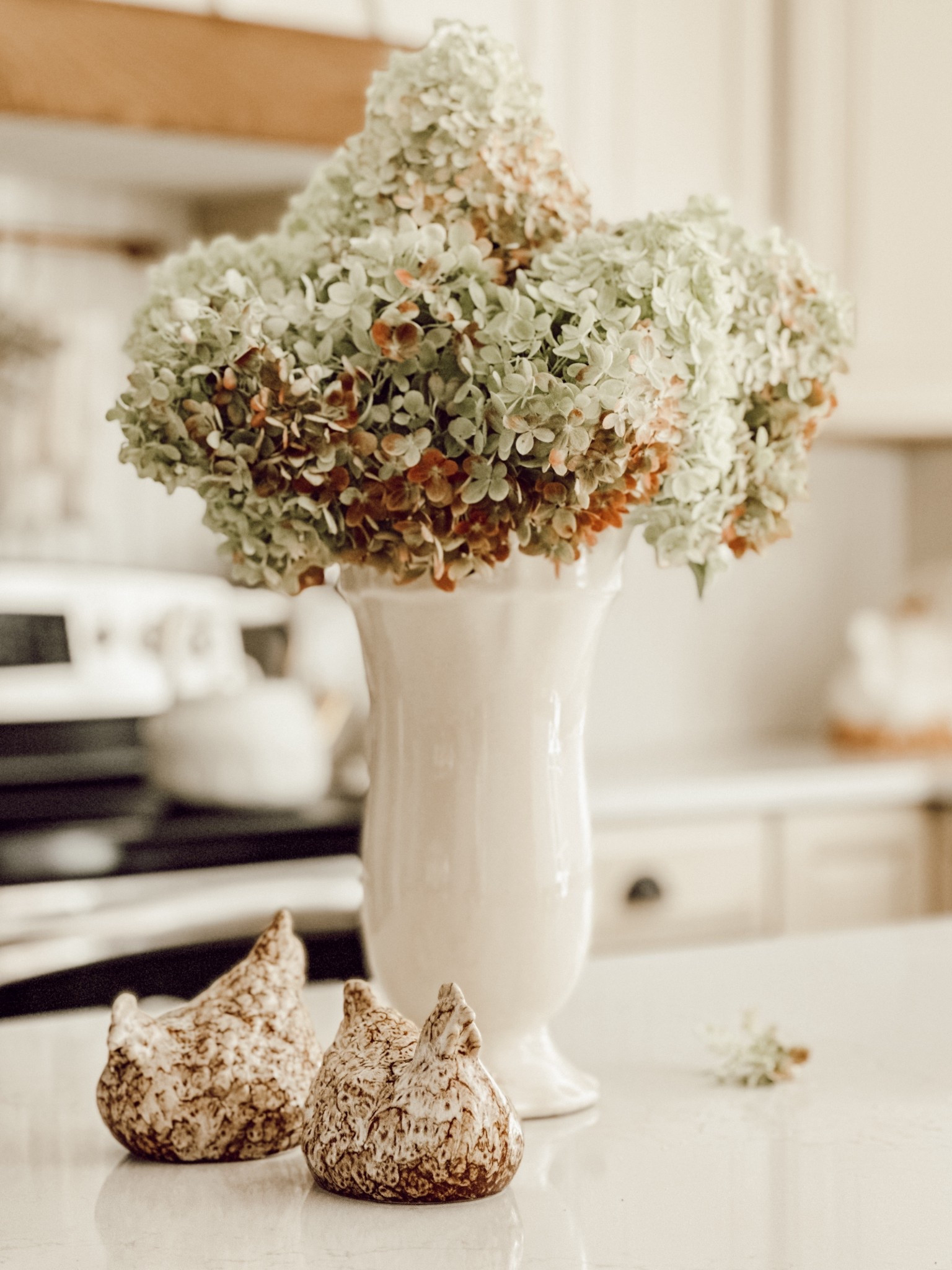 The cutest lil hens I ever did see!

#LTKHome #LTKFindsUnder50