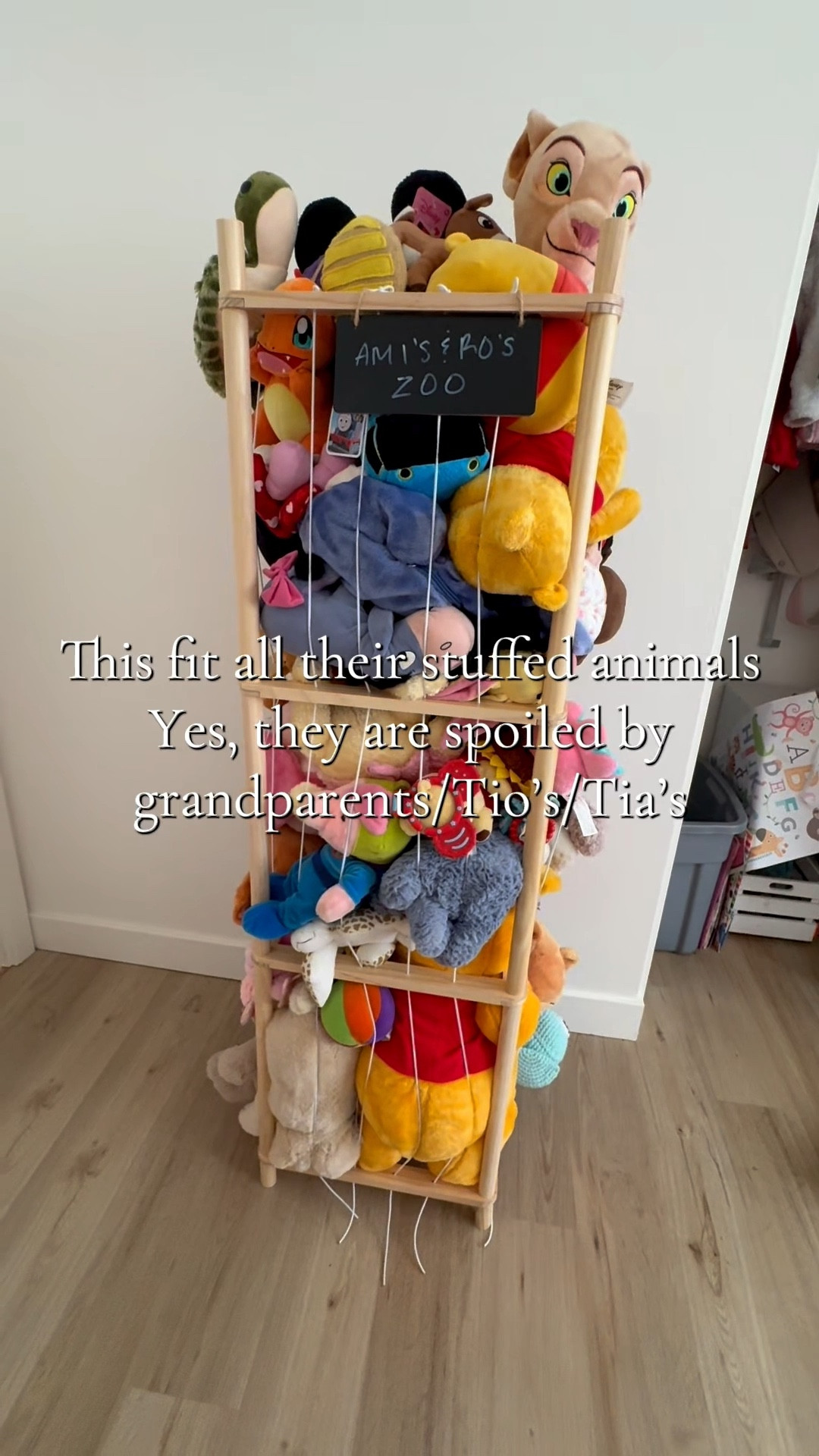 Stuffed Animal Storage 🐶

#LTKKids #LTKBaby #LTKHome