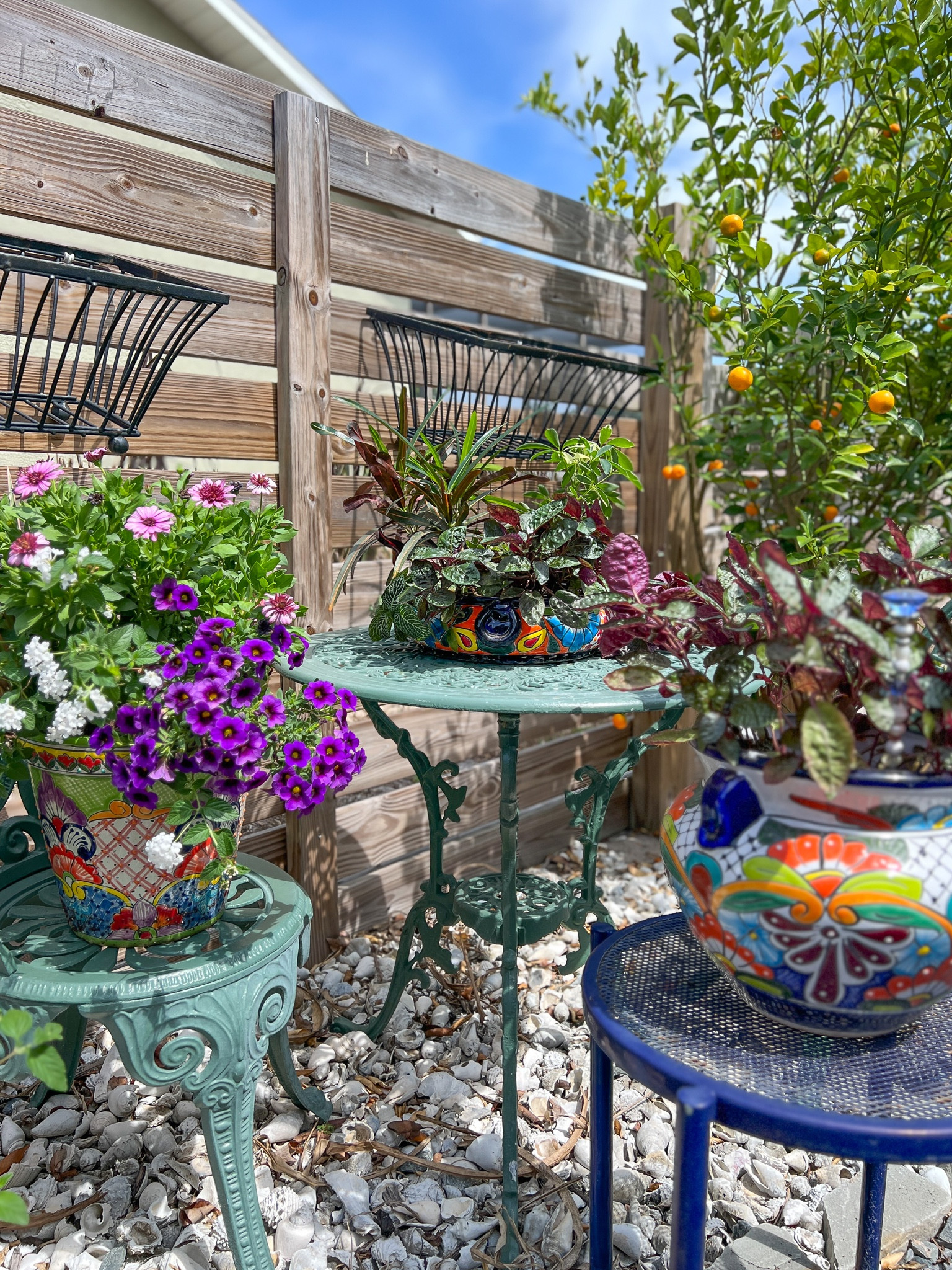 Talavera Mexican pottery is a charming addition to the garden 🪴 
Add a plant or two and it makes a wonderful gift!
Mother’s Day • summer garden • home decor #ltkfind

#LTKGiftGuide #LTKhome #LTKSeasonal