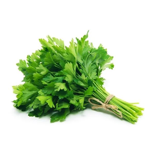 Fresh Cilantro, Bunch | Walmart (US)
