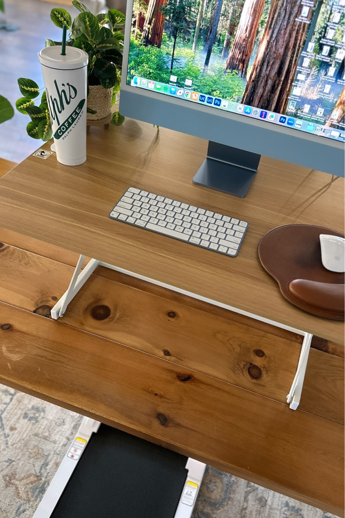 Walking pad & desktop standing desk converter 

#LTKActive