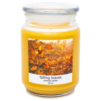 20oz Glass Jar Falling Leaves Candle | Target