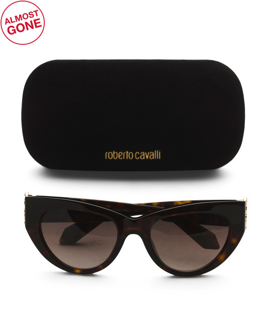 53mm Sunglasses | TJ Maxx
