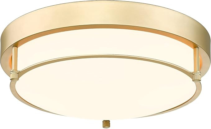 Cargifak Flush Mount Light Fixture, 12 inch 2-Light Modern Ceiling Light with Brass Gold Finish f... | Amazon (US)