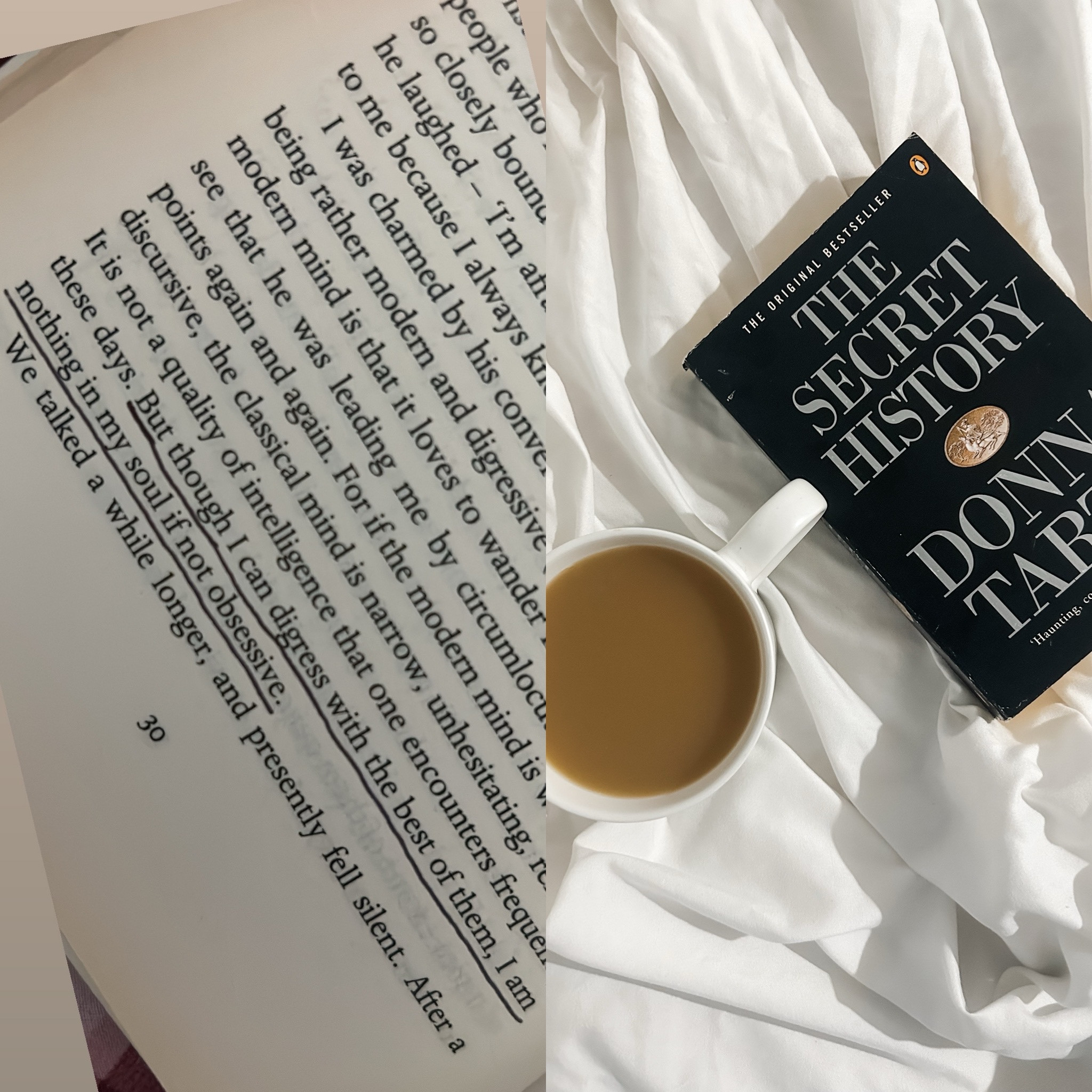 The Secret History by Donna Tartt is one of my FAVORITE books. I love re-reading it in the fall! 

Book recs 
Bookish
Dark academia 

#LTKFindsUnder50 #LTKSeasonal